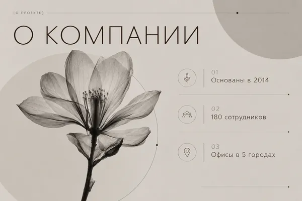 Пример слайда в стиле «Тихая роскошь»